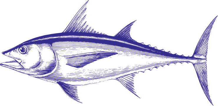 Illustration of an Yellowfin Tuna in an Engraving Style